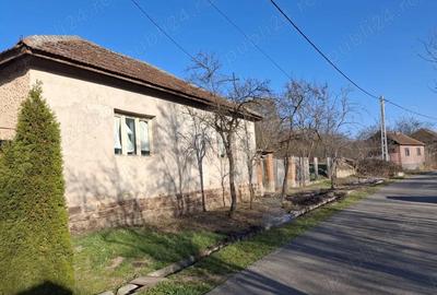 Casă cu 3 camere cu Teren 1400 Mp în Vintere - 4