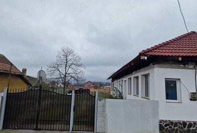 Spre vanzare 2 case in localitatea Alios timisoara - 1