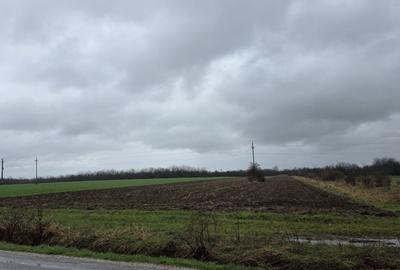 Spațiu comercial, în Lăceni - 2