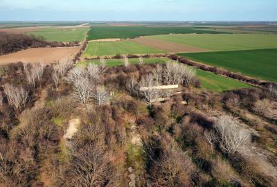 Teren Construcții intravilan de 70291 mp, în Micșunești-Moară - 15