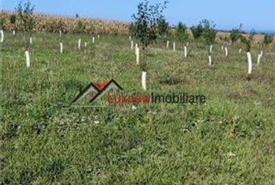 Reducere de pret! 800 mp teren intravilan la 10 km Auchan Iris, sat Padureni-Chi - 1