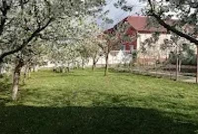 Casa cu teren generos, 2 construc?ii separate ideala pentru familie sau investitie - 5