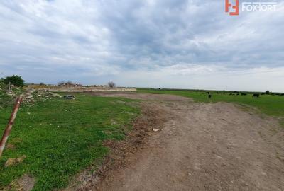 Teren Construcții intravilan de 58340 mp, în Sânmartinu Sârbesc - 24