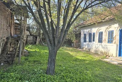 Casă cu 3 camere în Goiești - 5