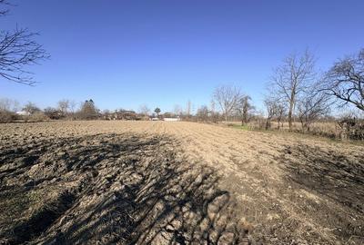 Casă cu 4 camere în Filipeștii de Târg - 3