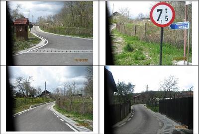 Casă individuală cu 5 camere cu Teren 6252 Mp în Popești (Golești) - 4