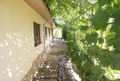 Vand casa renovata sat.Vasile Alecsandri -69.000 euro - 5
