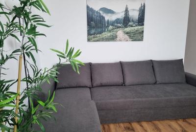 Apartament cu 2 camere semidecomandat, mobilat în Aradului - 3