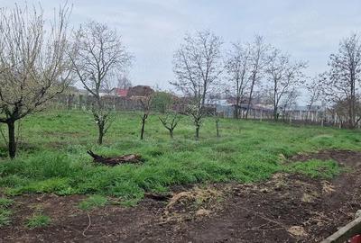 Casă cu 5 camere cu Teren 2200 Mp în Zăvoaia - 2