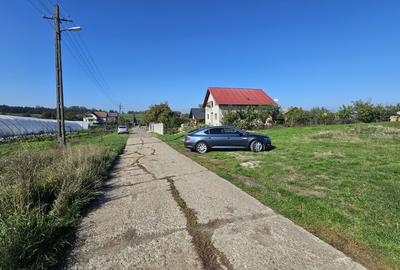 Teren intravilan Dorohoi - 1