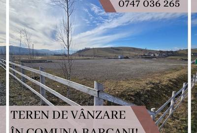 Spațiu comercial, în Barcani - 8