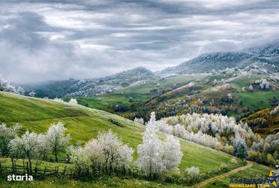 Casă cu 4 camere cu Teren 1000 Mp în Peștera - 3
