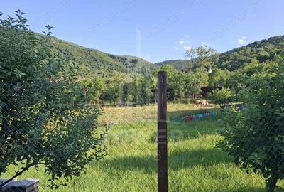 Casa tradi?ionala de vanzare in Fantanele- vedere superba spre munti - 17