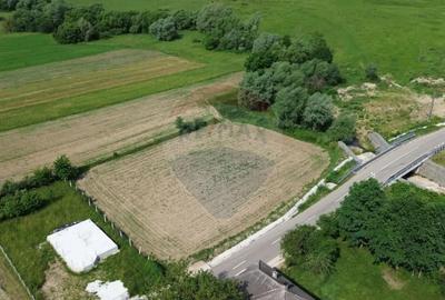 Teren de 1250 mp, în Șomcuta Mare - 6