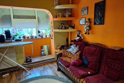 Apartament 4 camere, parter, b-dul Dunarea Micro 21 - 3