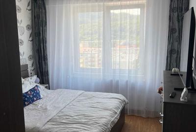 Apartament cu 2 camere decomandat în Drumul Carului - 3