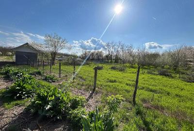 Casă cu Teren 4400 Mp în Mihai Viteazu - 2