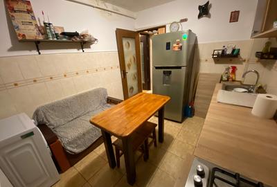 Apartament 1 camera Smirodava - 3