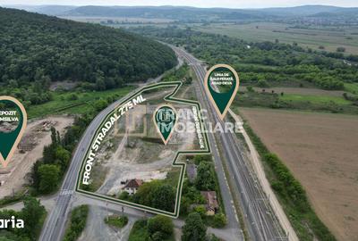 Spațiu comercial, de 117 mp, în Conop - 1