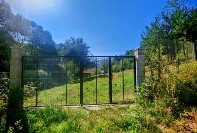 CASA si 2393 mp TEREN INTRAVILAN, Muntii Apuseni, NEGRENI - CLUJ la 1 km de E60 - 44