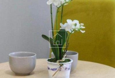 Apartament cu 2 camere în Paltin - 9