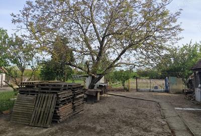 Casă cu 3 camere în Sârbova - 5