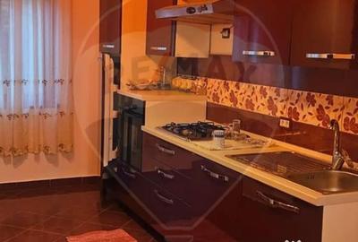 Casă cu 7 camere cu Teren 3141 Mp în Ploștina - 6