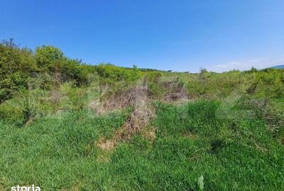 Teren de 6200 mp, în Viișoara