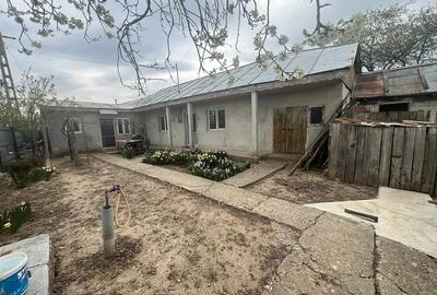 Casă cu Teren 11000 Mp în Cosmești - 1