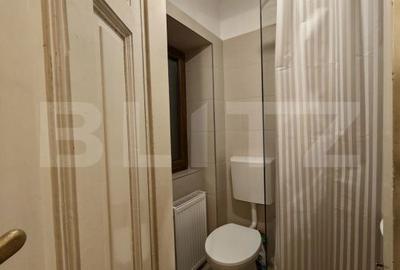 Apartament cu 3 camere în Iosefin - 10