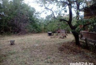 Casă cu Teren 2100 Mp în Herăști - 3