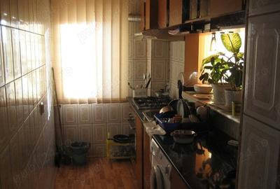 Apartament ALUNIS - 4