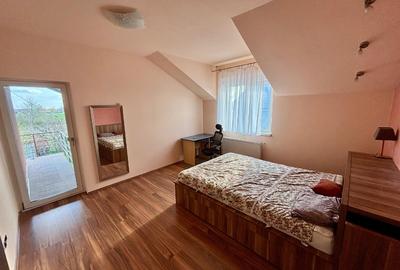 Casa Sinandrei Timis - 6