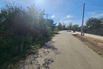 Teren de 1689 mp, în Bradu - 6