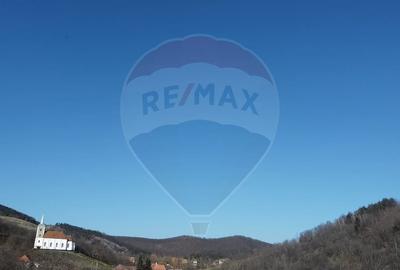 Teren intravilan de 23600 mp, în Inuri - 4