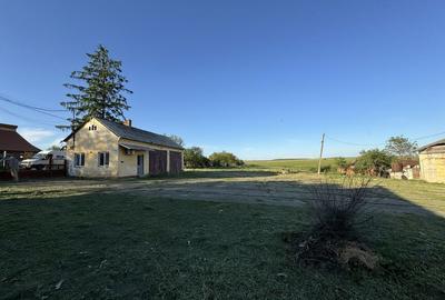 Casă cu 4 camere cu Teren 350 Mp în Mașloc - 7