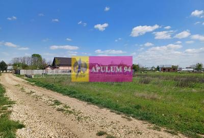 Teren Construcții intravilan de 520 mp, în Săbăreni