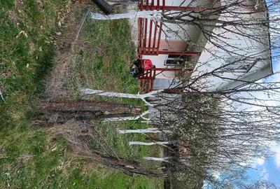 Casă cu Teren 150 Mp în Roșia Montană - 7