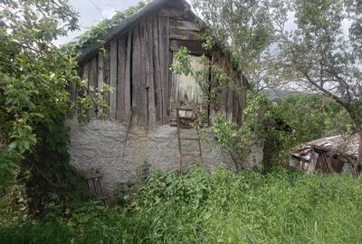 Casă cu 3 camere în Dăbâca - 3