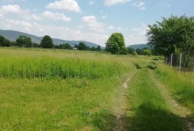 Teren de 1200 mp, în Vad - 8