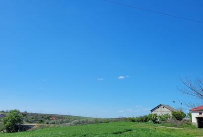 Fermă de vânzare în com. Deleni - DN3 - 10.680 mp - 84 m deschidere - 14