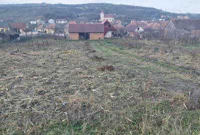 Casă cu 3 camere în Presaca - 4