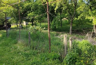 Casa+ casa batraneasca Surupate(Comuna Francesti, Valcea) - 3