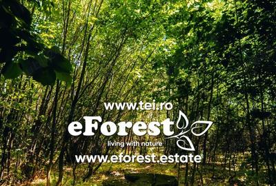 Casă cu Teren 900 Mp în Cocani - 3