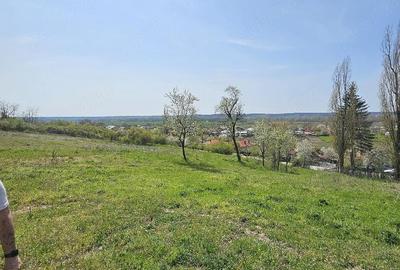 Casă cu Teren 23000 Mp în Diculești - 1