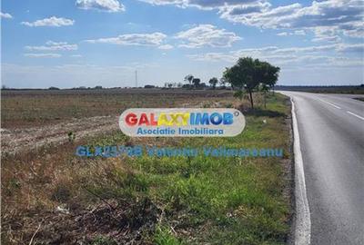 Teren Construcții intravilan de 17067 mp, în Petrăchioaia - 3