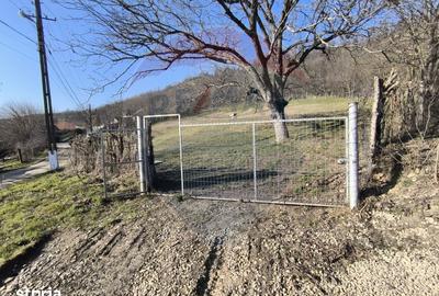 Teren de 2853 mp, în Urechești - 4