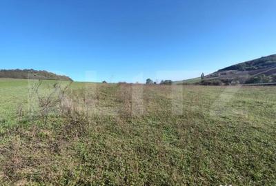 Teren de 2900 mp, în Central - 2