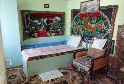 Casă cu 6 camere cu Teren 3000 Mp în Puieni - 3