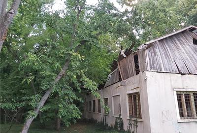 Casă cu 6 camere în Buziaș - 10